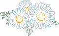 Vector color sketch of daisies. Blue and white chamomile flowers.