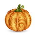 Vector Colored Decorative Pumpkin with Beautiful Pattern