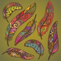 Vector colored feathers set.