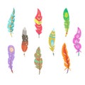 Vector Colored Feathers Set Royalty Free Stock Photo