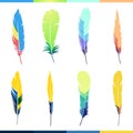 Vector colored feathers set Royalty Free Stock Photo