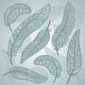 Vector colored feathers set. Royalty Free Stock Photo