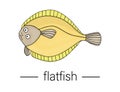 Vector colored flatfish. Cartoon style sea fish icon