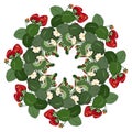 Vector Colored Fruit Wreath