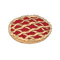 Vector colored hand drawn doodle sketch pie tart