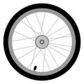 Vector, colored illustration of bicycle wheel Royalty Free Stock Photo