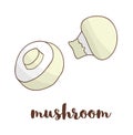 Vector colored mushroom icon Royalty Free Stock Photo