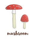 Vector colored mushroom icon. Royalty Free Stock Photo
