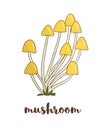 Vector colored mushroom icon. Royalty Free Stock Photo