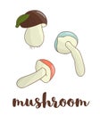 Vector colored mushroom icon. Royalty Free Stock Photo