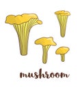 Vector colored mushroom icon. Royalty Free Stock Photo