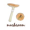 Vector colored mushroom icon. Royalty Free Stock Photo
