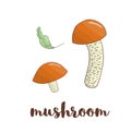 Vector colored mushroom icon. Royalty Free Stock Photo