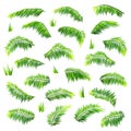 Vector colored palm leaves set on white