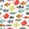 Vector colored seamless pattern of aquarium fish Royalty Free Stock Photo
