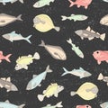 Vector colored seamless pattern of fish isolated on black textured background