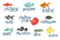 Vector  colored set of  aquarium fish with lettering isolated on white background Royalty Free Stock Photo