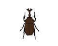 Vector colored stag beetle icon isolated on white background. Colored cartoon style insect illustration. Bug logo Royalty Free Stock Photo