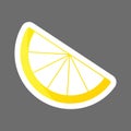 Vector colored sticker of a slice citrus. Vector icon of lemon,