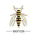 Vector colored wasp icon isolated on white background Royalty Free Stock Photo