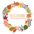 Vector colorful autumn circle frame with maple, oak, rowan and birch leaves on white background