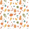 Vector colorful autumn natural seamless pattern with fall leaves, pumpkins, berries and acorns Royalty Free Stock Photo