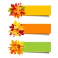 Vector colorful banners with autumn leaves. Royalty Free Stock Photo