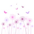 Colorful dandelion background