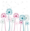 Colorful Dandelions background