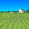 Vector colorful farm illustration, hand drawn farm field and house, summer rural landscape. Royalty Free Stock Photo