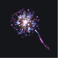 Vector Colorful Firework, Isolated on Dark Background Bright Colors.