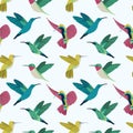 Vector colorful flying hummingbirds seamless pattern on white background Royalty Free Stock Photo