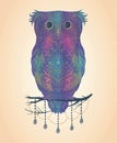 Vector colorful hand drawn Owl sitting on branch