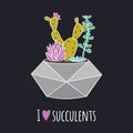 Vector colorful illustration with cactus, succulents in geometric pot and phrase `I love succulents`