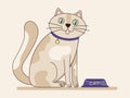 Vector colorful illustration of a cat who is waiting for someone to feed him, sitting by his food bowl Royalty Free Stock Photo