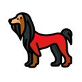 Afghan Hound dog red icon vector illustration Royalty Free Stock Photo