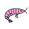 Amano Shrimp prawn pink icon vector illustration