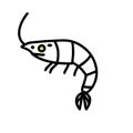Amano Shrimp prawn white icon vector illustration