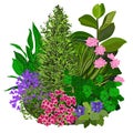 Vector colorful illustration of flowerbad Royalty Free Stock Photo