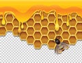 Vector colorful illustration of honeycombs with liquid honey and a bee.