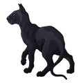Sphinx cat black