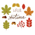 Vector colorful illustration of tree leaves with hello autumn inscription. Royalty Free Stock Photo