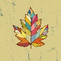 Vector colorful maple leaf in vintage style