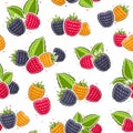 Vector Colorful Raspberry seamless pattern