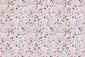 Vector Colorful Seamless Pattern with Venetian Terrazzo. Marble Texture with Scattered Stone. Modern Minimalist Floor Royalty Free Stock Photo