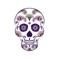 Vector colorful sugar skull with doodle floral pattern