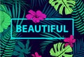 Vector colorful tropical quote in square frame. romantic poster, banner, cover. Tropical print slogan. For t-shirt or