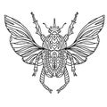 Vector coloring beetle with beautiful wings with small patterns. Coloring book black and white zentagl patterns small patterns.