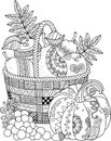 Vector Coloring book for adult. Thanksgiving day. Basket of apples.