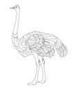 Vector coloring book for children and adults with an African ostrich. A wingless flightless bird with beautiful plumage.The study Royalty Free Stock Photo